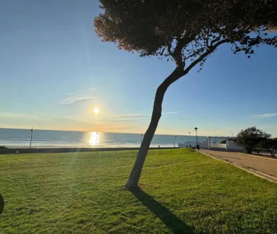 Apartamento La Fontanilla Conil De La Frontera Εξωτερικό φωτογραφία